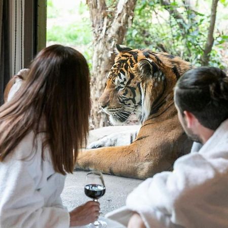 Big Cat Bungalows At The Haven - Lion 2 Canastota Exterior foto