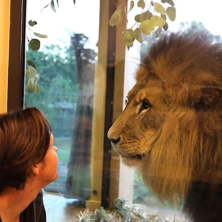 Big Cat Bungalows At The Haven - Lion 2 Canastota Exterior foto